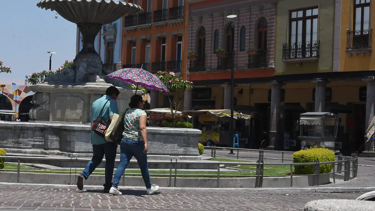 COMERCIO EN CENTRO JESUSGTZ ELSOL DE IRAPUATO (2)